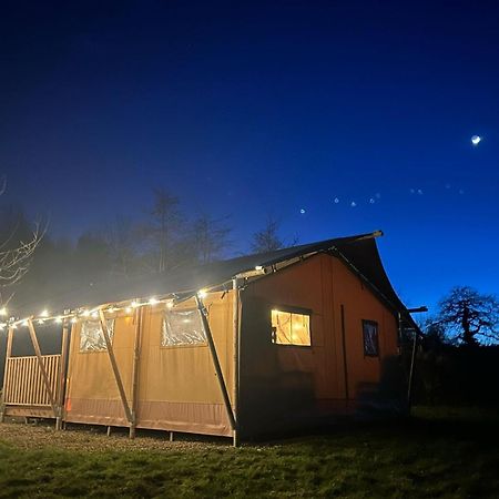 Arcadia Safari Tent In Private 5 Acre Field Wrexham Eksteriør billede